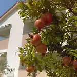 Ruzmarin Vrsi