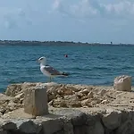 Ruzmarin *