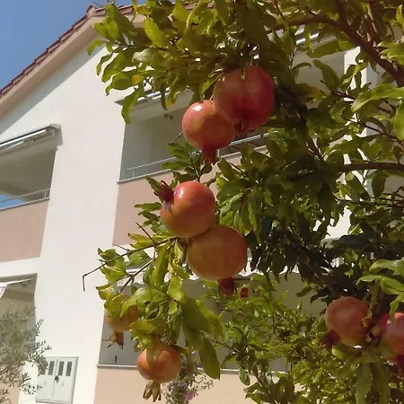 Ruzmarin Vrsi